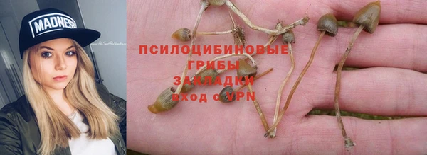 соль ск Алексеевка