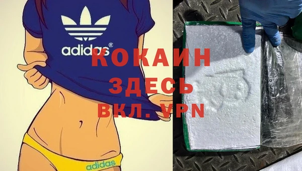 соль ск Алексеевка